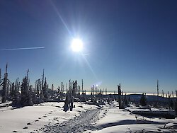 Winterzauberland